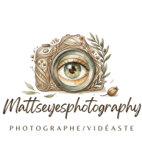 Firefly_GeminiFlash_met moi ce logo avec un fond transparent 162299-Photoroom