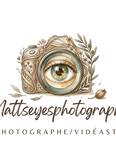 Firefly_GeminiFlash_met moi ce logo avec un fond transparent 162299-Photoroom